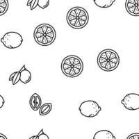 Lemon And Lime Vitamin Citrus vector seamless pattern