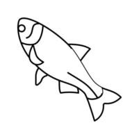 silver carp line icon vector illustration