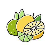 branch lemon and lime color icon vector illustration