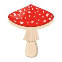 Fly agaric mushroom. Edible Organic mushrooms. Truffle brown cap. Forest wild mushrooms types. Colorful vector illustration isolated on white background.