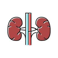 riñón humano órgano color icono vector ilustración