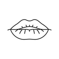 lip facial line icon vector illustration