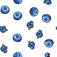 blueberry biberry blue berry vector seamless pattern