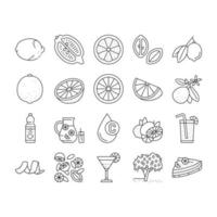 Lemon And Lime Vitamin Citrus Icons Set Vector