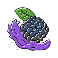 splash juice blackberry color icon vector illustration