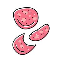 salami slice food cut color icon vector illustration