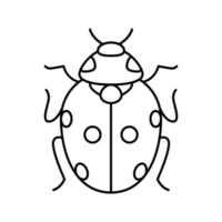 ladybug bug line icon vector illustration