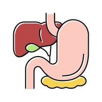 ilustración de vector de icono de color de tracto gastrointestinal