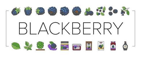 blackberry fruit berry black food icons set vector