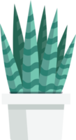 Cactus color symbol png