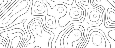 White wave paper curved reliefs abstract background, Abstract topographic contours map background. Geographic mountain relief. Abstract lines background. Contour maps. Business concept. vector