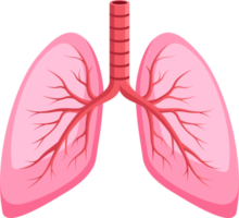 icono de símbolo de pulmones png