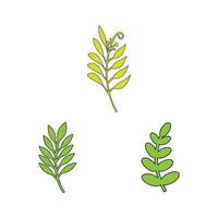 vector de logotipo botánico de hojas verdes y diseño de símbolos