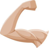 símbolo del brazo muscular png