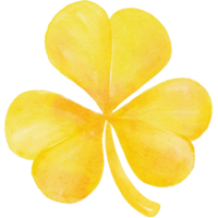 watercolour st Patrick lucky yellow clover three leaf cartoon hand painting png