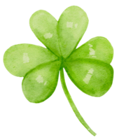 watercolour st Patrick lucky clover three leaf cartoon hand painting png