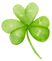 aquarelle st patrick lucky clover dessin animé à trois feuilles peinture à la main png