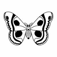 Butterfly Logo Symbol. Stencil Design. Animal Tattoo Vector Illustration.