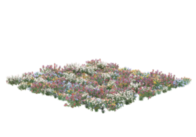 Grass with flowers isolated on transparent background. 3d rendering - illustration png