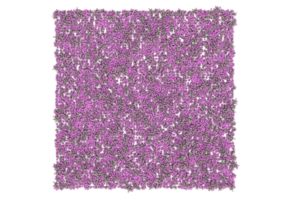 Gras mit Blumen isoliert auf transparentem Hintergrund. 3D-Rendering - Abbildung png