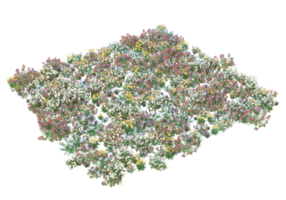 Grass with flowers isolated on transparent background. 3d rendering - illustration png