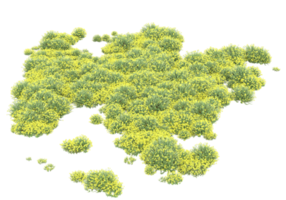 gras met bloemen geïsoleerd Aan transparant achtergrond. 3d renderen - illustratie png