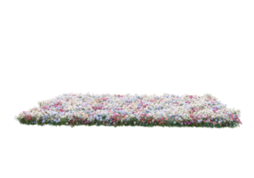 Grass with flowers isolated on transparent background. 3d rendering - illustration png