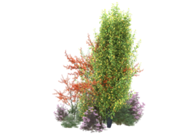 gräs med blommor isolerat på transparent bakgrund. 3d tolkning - illustration png