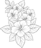 hibisco aislado, elemento floral dibujado a mano. ramo de ilustración vectorial o rosa china, boceto de arte hermoso tatuaje de flor de garabato zentangle, página para colorear para adultos sobre fondo blanco. vector