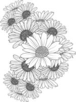 Daisy flower draing vector illustratrion hand drawn illustration artistic, simplicity coloring page isolated in white background, realistic flower coloring page