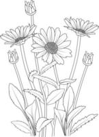 Daisy flower bouquet of vector sketch hand drawn illustration, natural collaction branch of leaves bud  vase outline drawing ingraved ink art isolated on white background