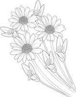 boceto de ilustración de flores de margarita dibujadas a mano aisladas en blanco, flor de primavera y estilo de arte de tinta, jardín botánico, página de color vector