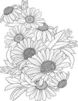 Sketch of outline daisy flower coloring book hand drawn vector illustration artistically engraved ink art blossom narcissus flowers isolated on white background clip art.
