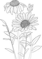 flores rama de margarita flor dibujo a mano ilustración vectorial elementos de diseño vintage ramo floral colección natural vector