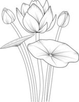 Easy flower coloring pages, waterlily flower drawing for kids, antistress coloring book, hand-drawn spring natural elements. vector