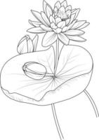 Lotus flower art, vector illustration of a bouquet of Egyptian lotus , in hand-drawn botanical spring elements natural collection line art for coloring page isolated on white background.