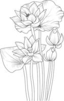 Lotus flower art, vector illustration of a bouquet of Egyptian lotus , in hand-drawn botanical spring elements natural collection line art for coloring page isolated on white background.