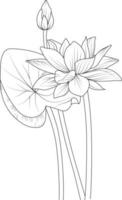 Flower coloring page and books, hand-drawn monochrome vector sketch, waterlily flower, Vector floral background with lotus natural leaf collection, illustration pencil art, isolated image clip art.