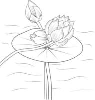 Lotus flower pencil art, Black and white outline vector coloring page and book for adults and children flowers waterlily, with leaves hand drawn engraved ink illustration artistic design.