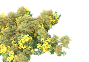 gras met bloemen geïsoleerd Aan transparant achtergrond. 3d renderen - illustratie png