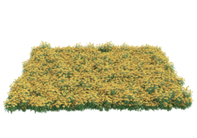 Grass with flowers isolated on transparent background. 3d rendering - illustration png