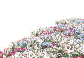 Grass with flowers isolated on transparent background. 3d rendering - illustration png