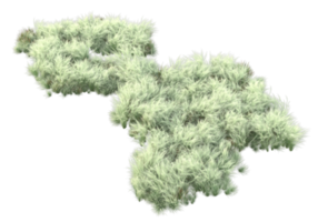 gras met bloemen geïsoleerd Aan transparant achtergrond. 3d renderen - illustratie png