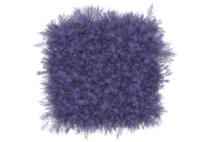 Gras mit Blumen isoliert auf transparentem Hintergrund. 3D-Rendering - Abbildung png