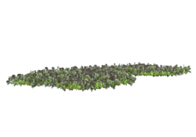 Gras mit Blumen isoliert auf transparentem Hintergrund. 3D-Rendering - Abbildung png