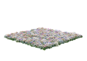 Grass with flowers isolated on transparent background. 3d rendering - illustration png