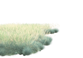 Grass with flowers isolated on transparent background. 3d rendering - illustration png