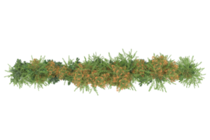 gras met bloemen geïsoleerd Aan transparant achtergrond. 3d renderen - illustratie png