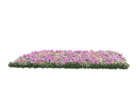 Grass with flowers isolated on transparent background. 3d rendering - illustration png