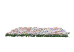 Grass with flowers isolated on transparent background. 3d rendering - illustration png